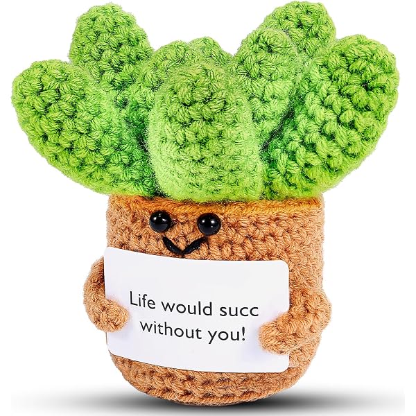 Amazon.com: Crochet Positive Succulent Plant Thank You Gifts for